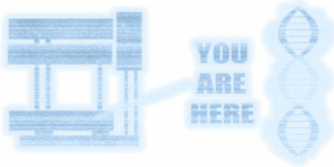 You are Here (2014) PC